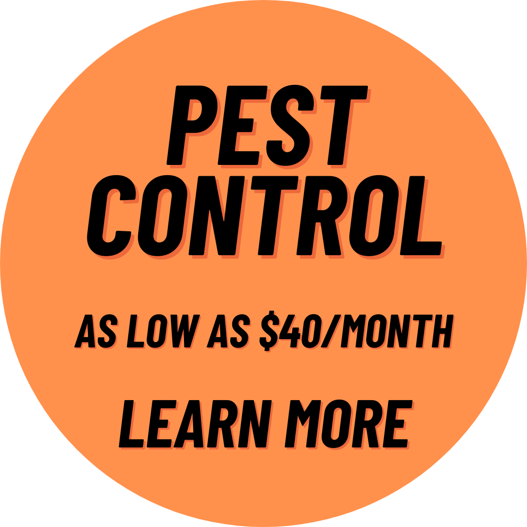 Pest Control Service Plan Promo