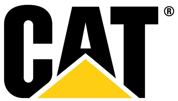 A cat logo with a yellow triangle on a white background.