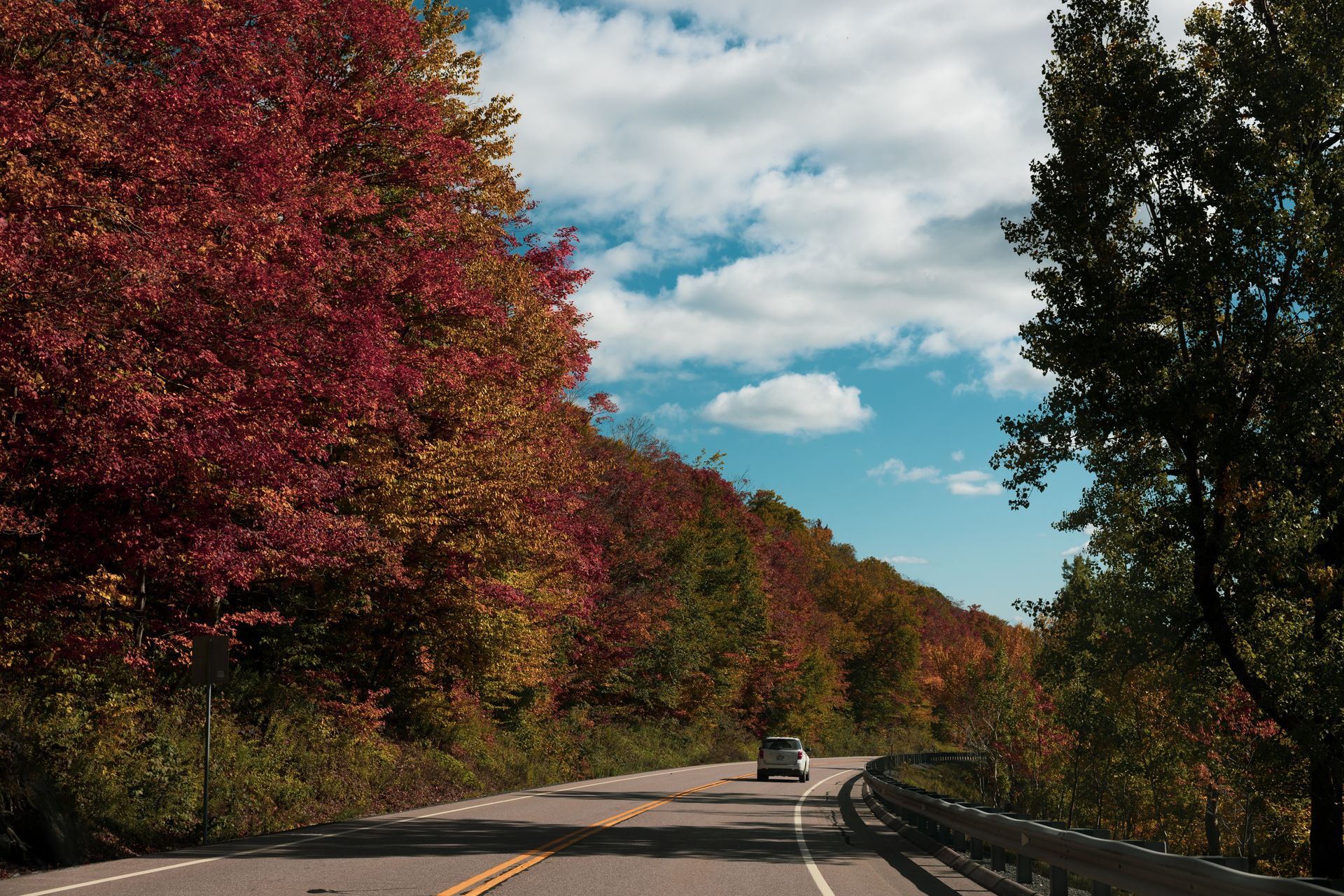 Road surrounded by orange, red, yellow, and green autumn fall foliage trees