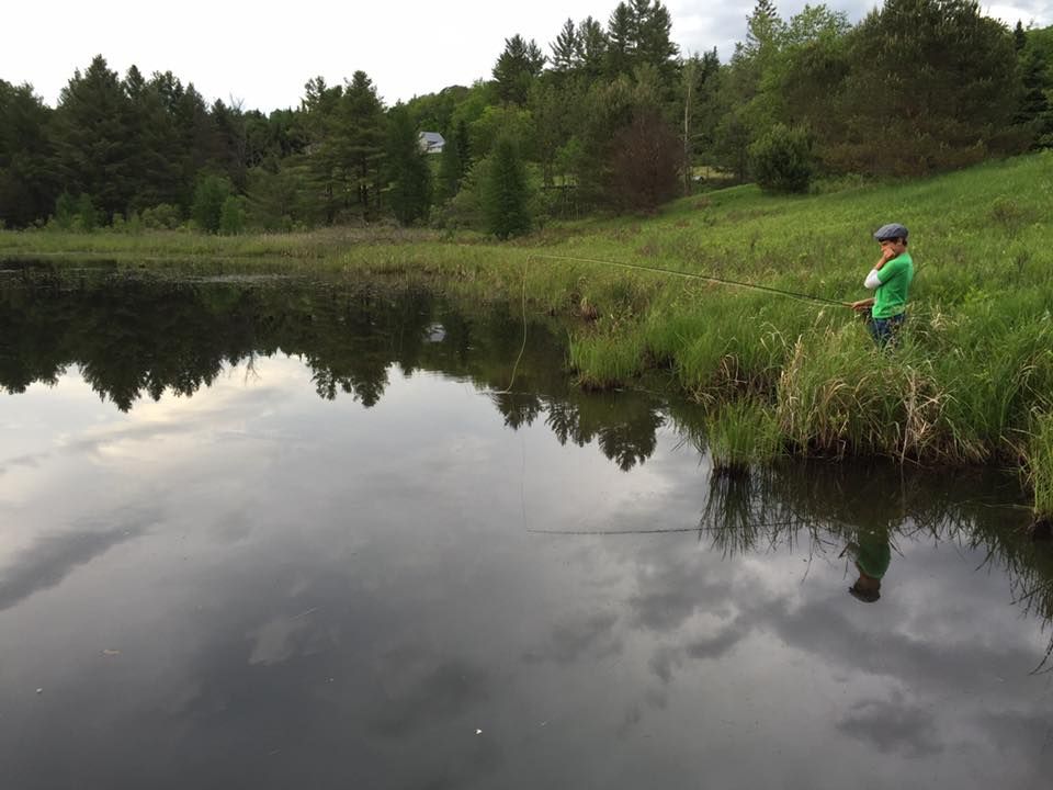 Boy fishing at the edge of a pond. Green grass, dark water reflects sky, trees in background.