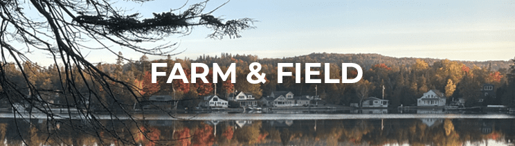 scenic fall vermont