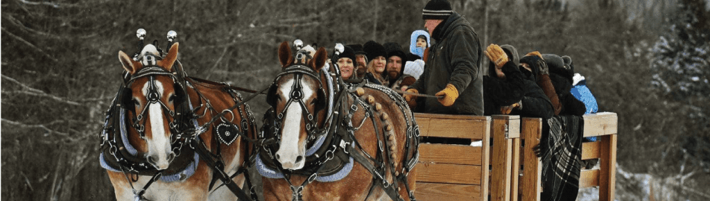 Horses pulling a sleigh through a snowy landscape with passengers.
