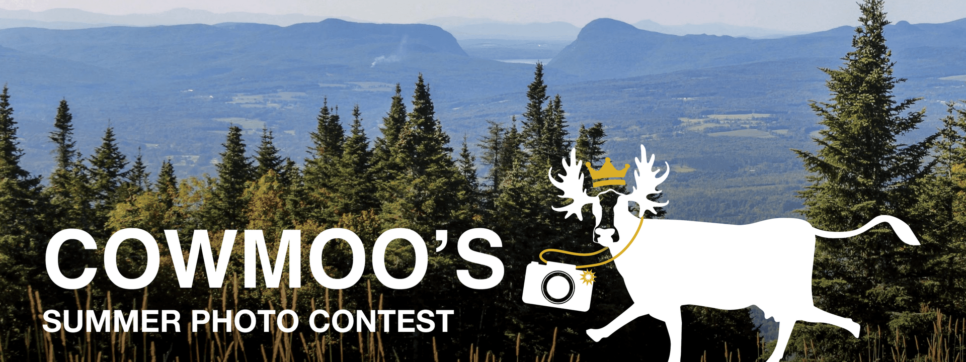 Cowmoo's Summer Photo Contest banner with a white moose holding a camera in front of a scenic mountain view.