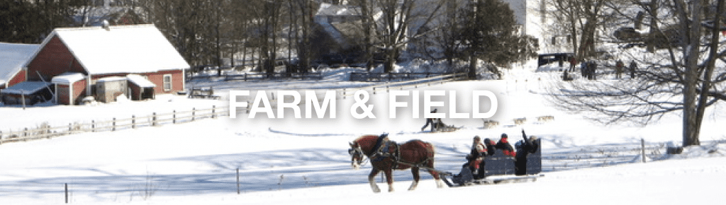 Things to do in the Northeast Kingdom VT
