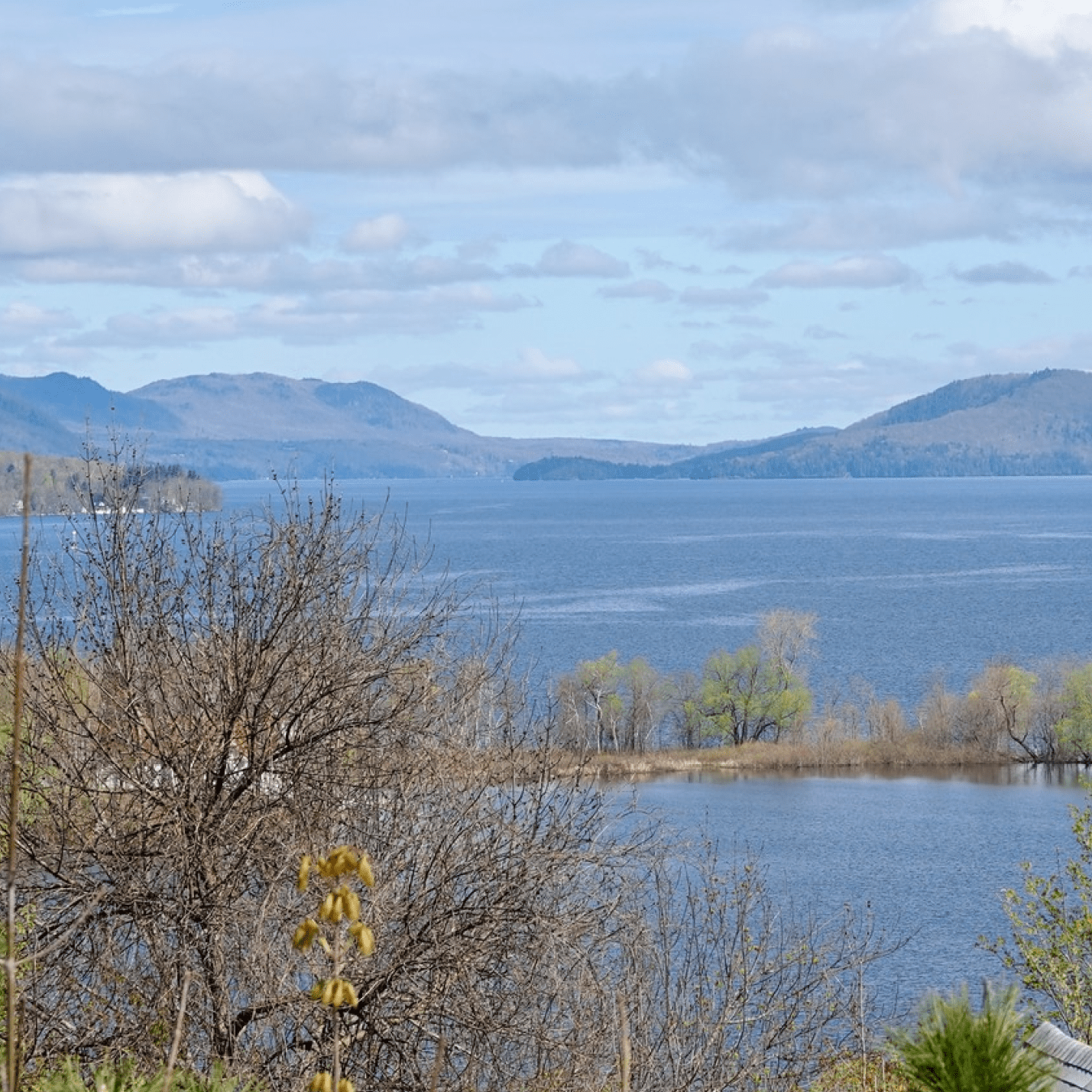 Lake view with trees in the foreground, mountains in the background, and a cloudy sky.