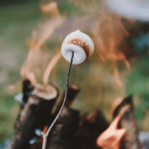 Marshmallow roasting over a campfire, turning golden brown.