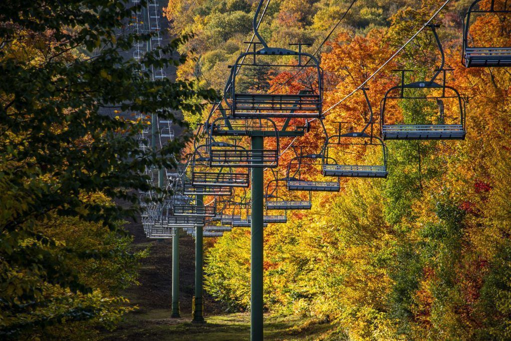 Chairlift Foliage