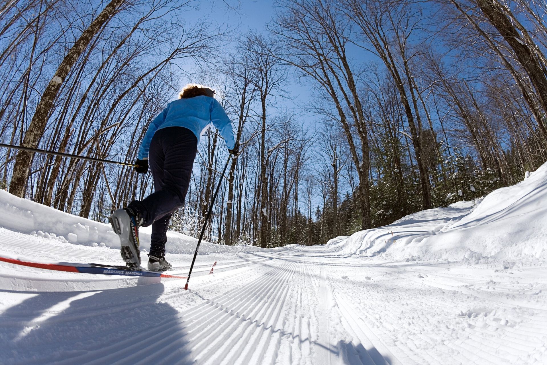 Person cross-country Nordic skiing on a groomed trail through trees with a blue sky