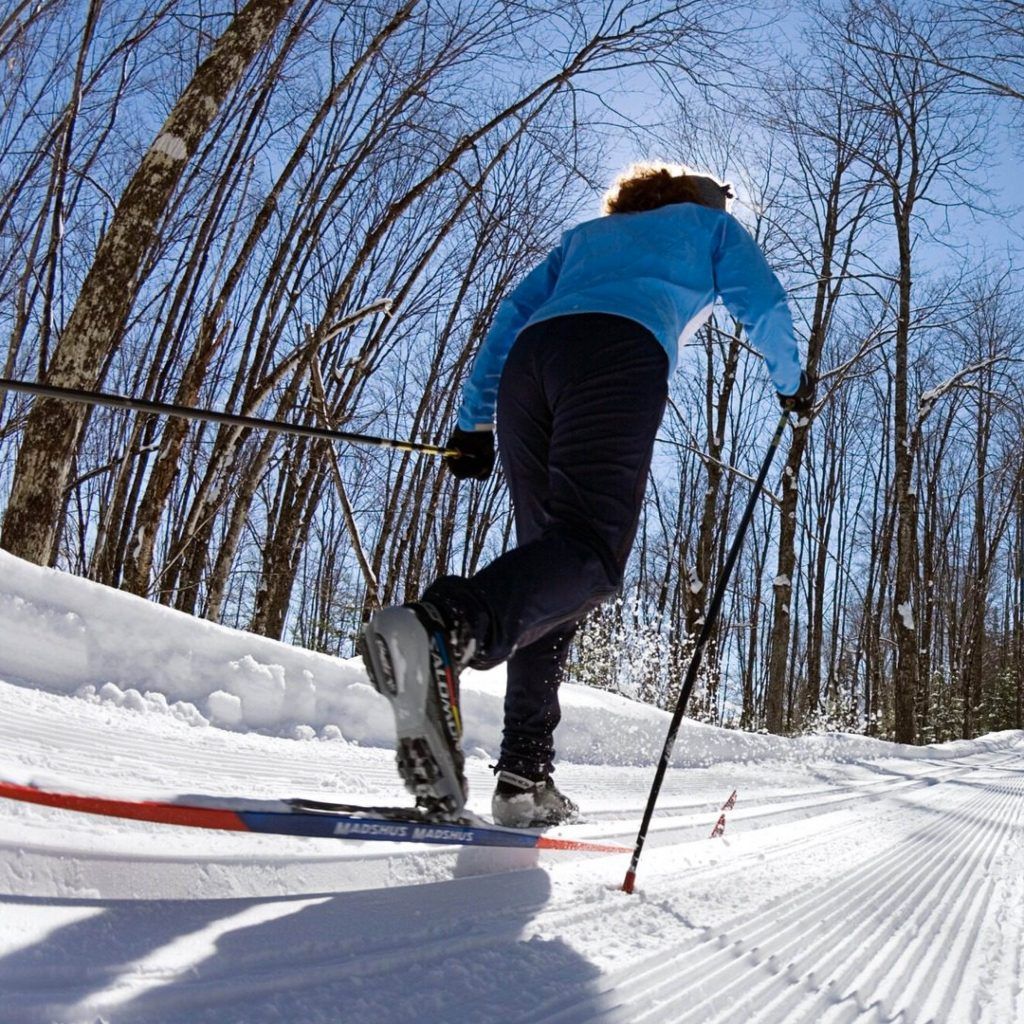 Person cross-country skiing on a snow-covered path through a forest on a sunny day.