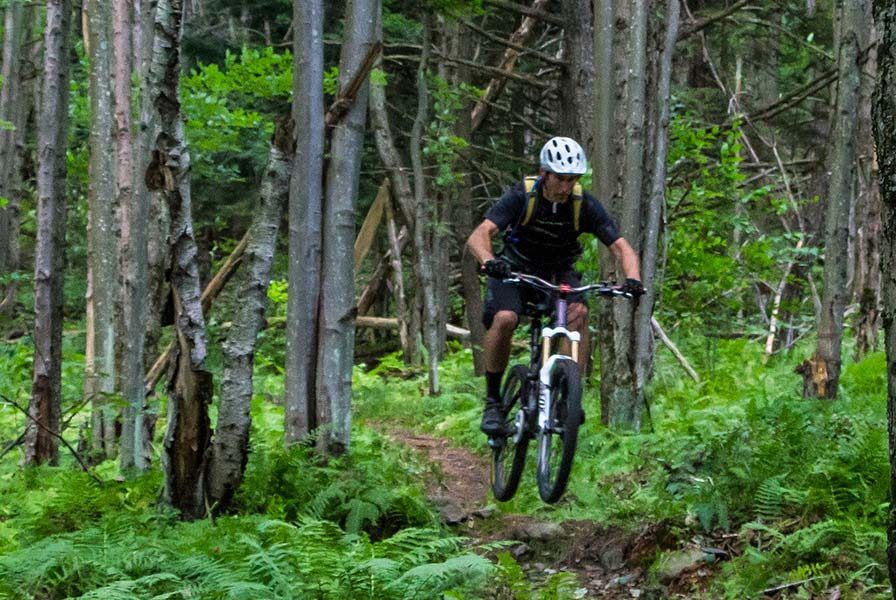 Man riding a mountain bike through a forest, navigating a dirt trail amidst trees and ferns.