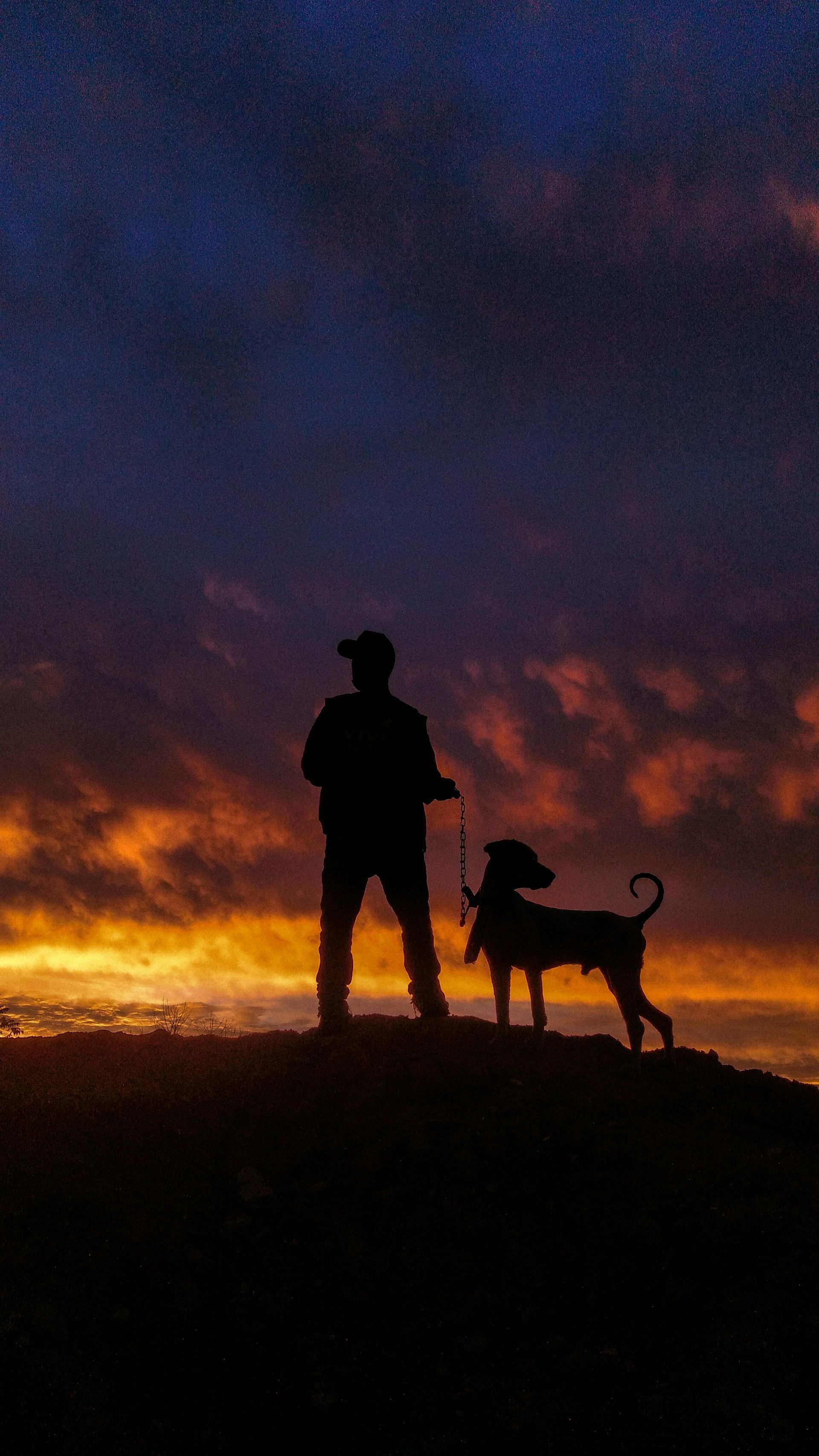 Silhouette of a person and dog on a hilltop at sunset with orange and purple hues in the sky.