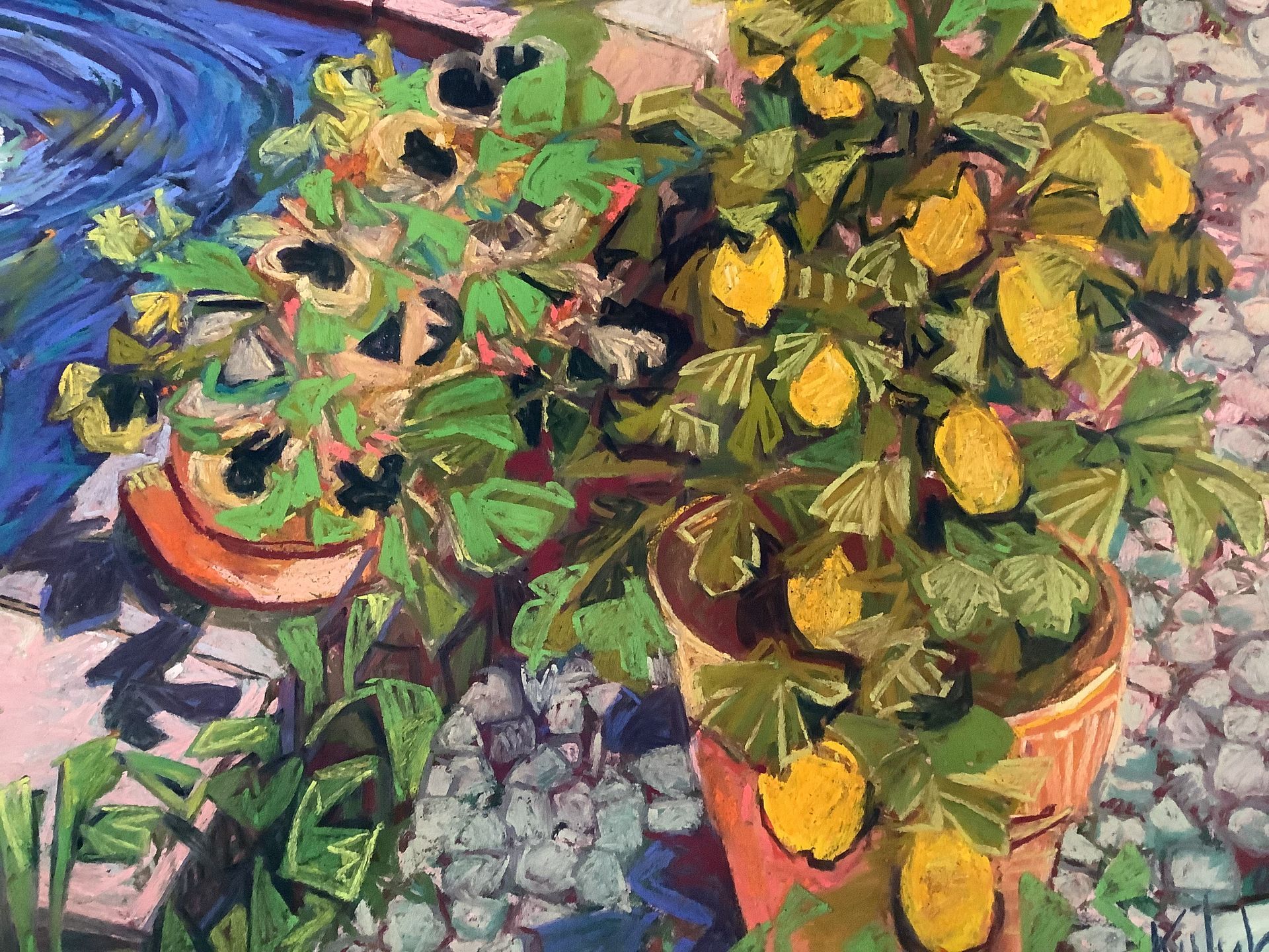 ©Karen Kulyk - Potted plants in terracotta pots with bright green leaves and yellow blooms, on a cobblestone patio by water.