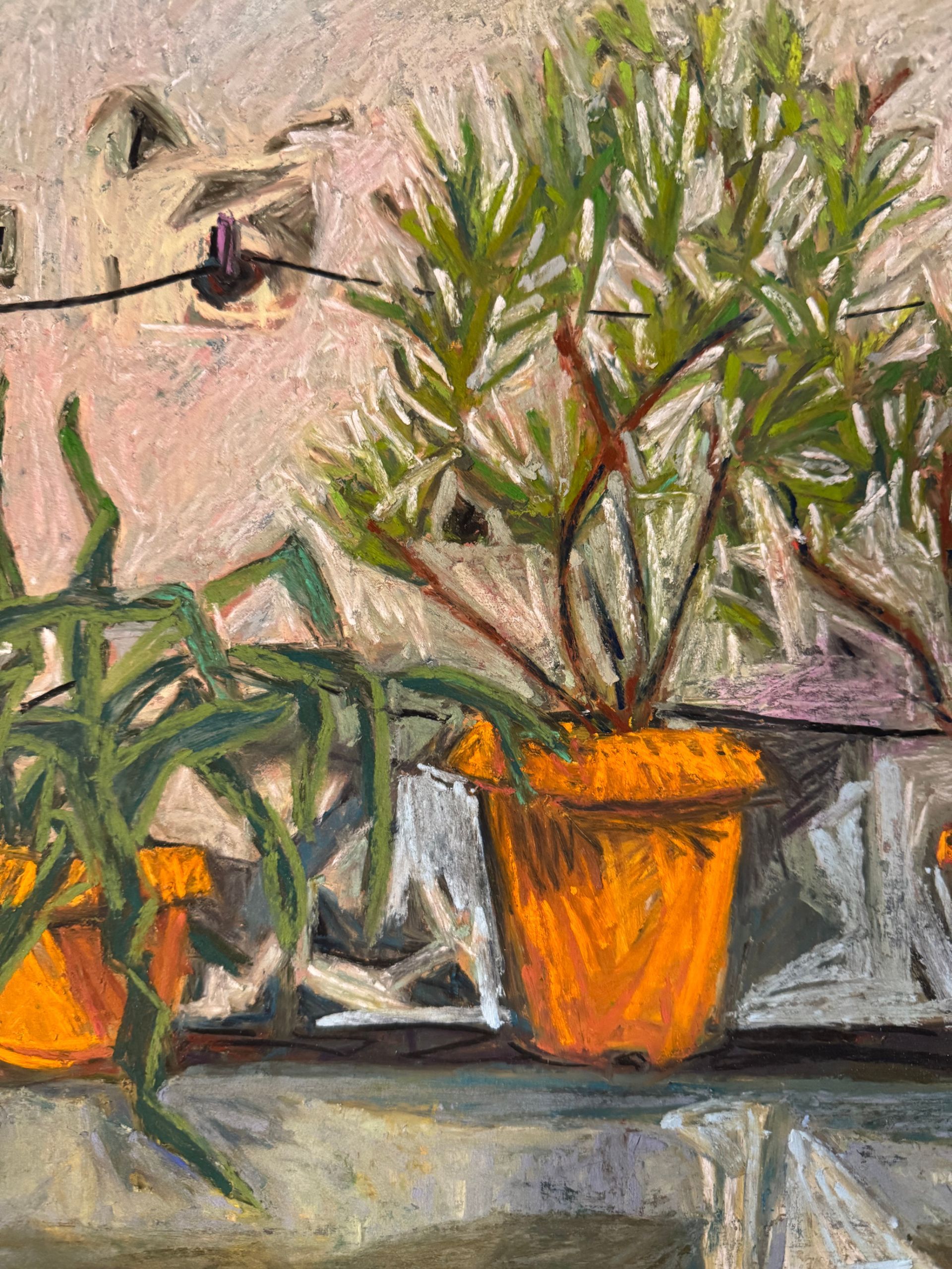 ©Karen Kulyk - Two potted plants in orange pots on a windowsill. Pinkish building in the background, overhead wires.