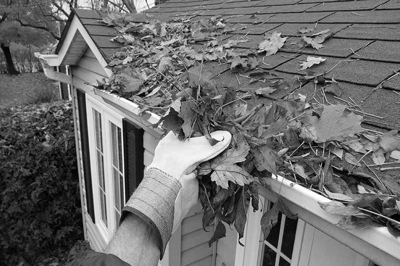 Une personne nettoie une gouttière de feuilles d’une maison.