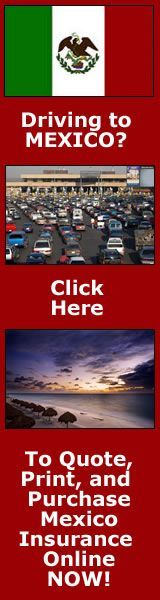 A tropical beach with palm trees and turquoise water on a sunny day.