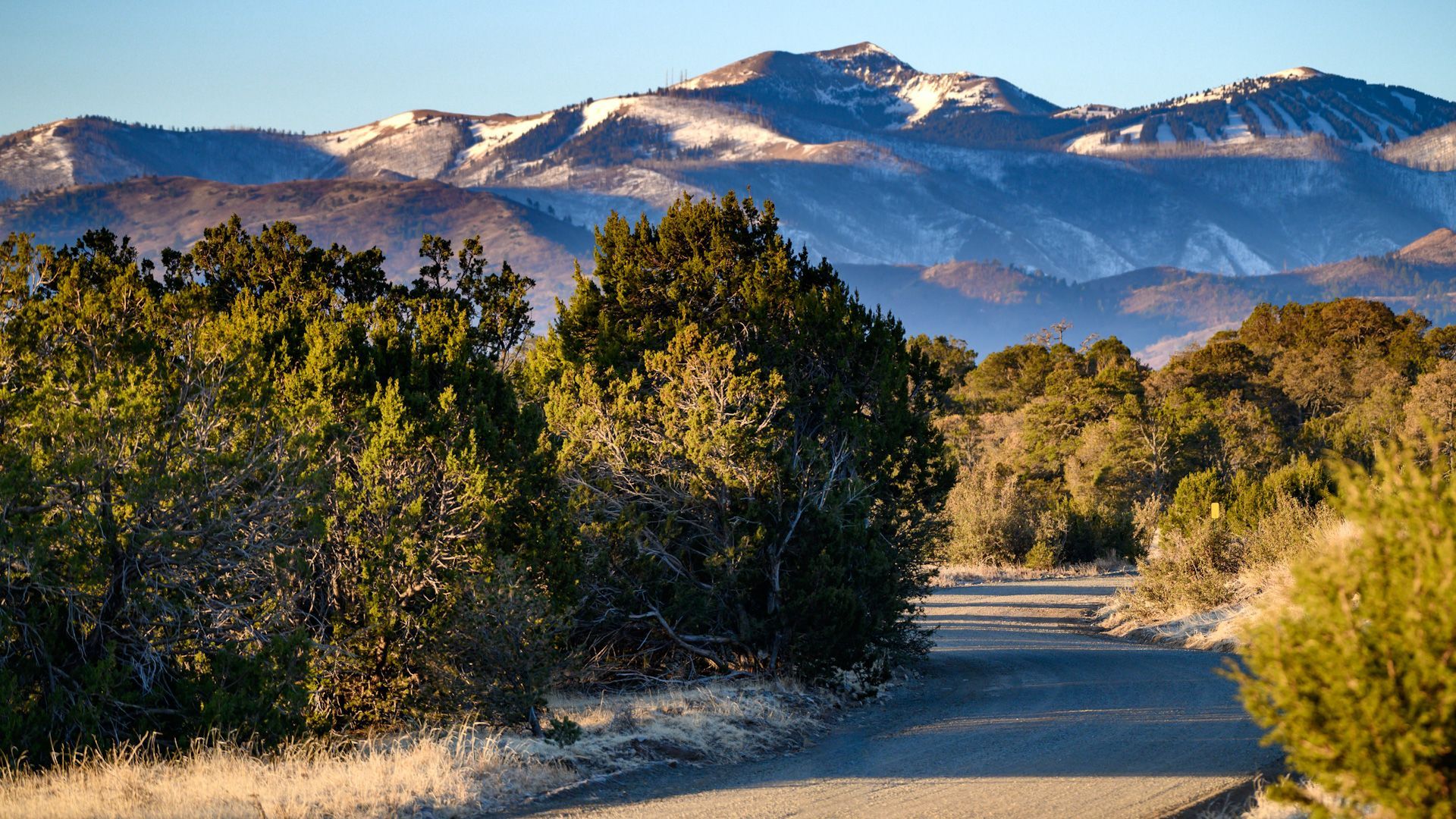 A dirt road going through a forest with mountains in the background.