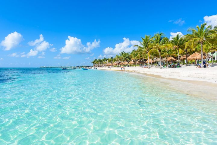 A tropical beach with palm trees and turquoise water on a sunny day.