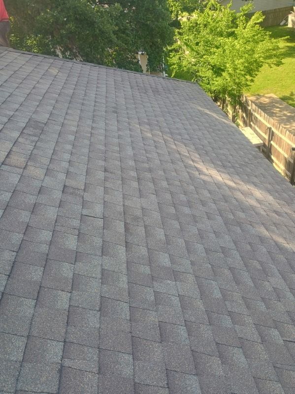 Gray shingled roof beside green trees in sunlight