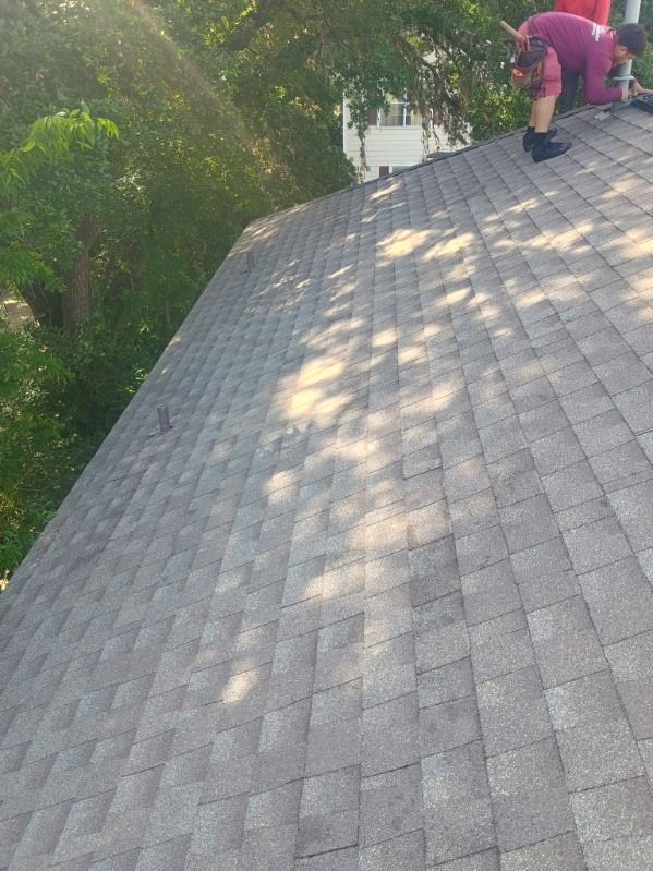 Two workers inspecting a shingled rooftop beside trees on a sunny day