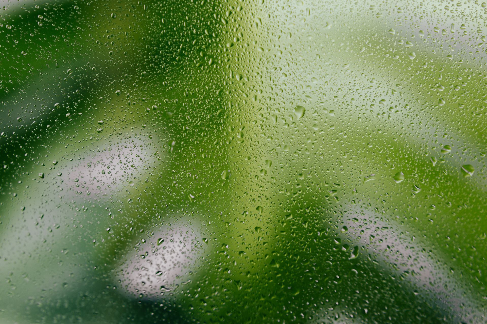 A close up of rain drops on a window with a green background.
