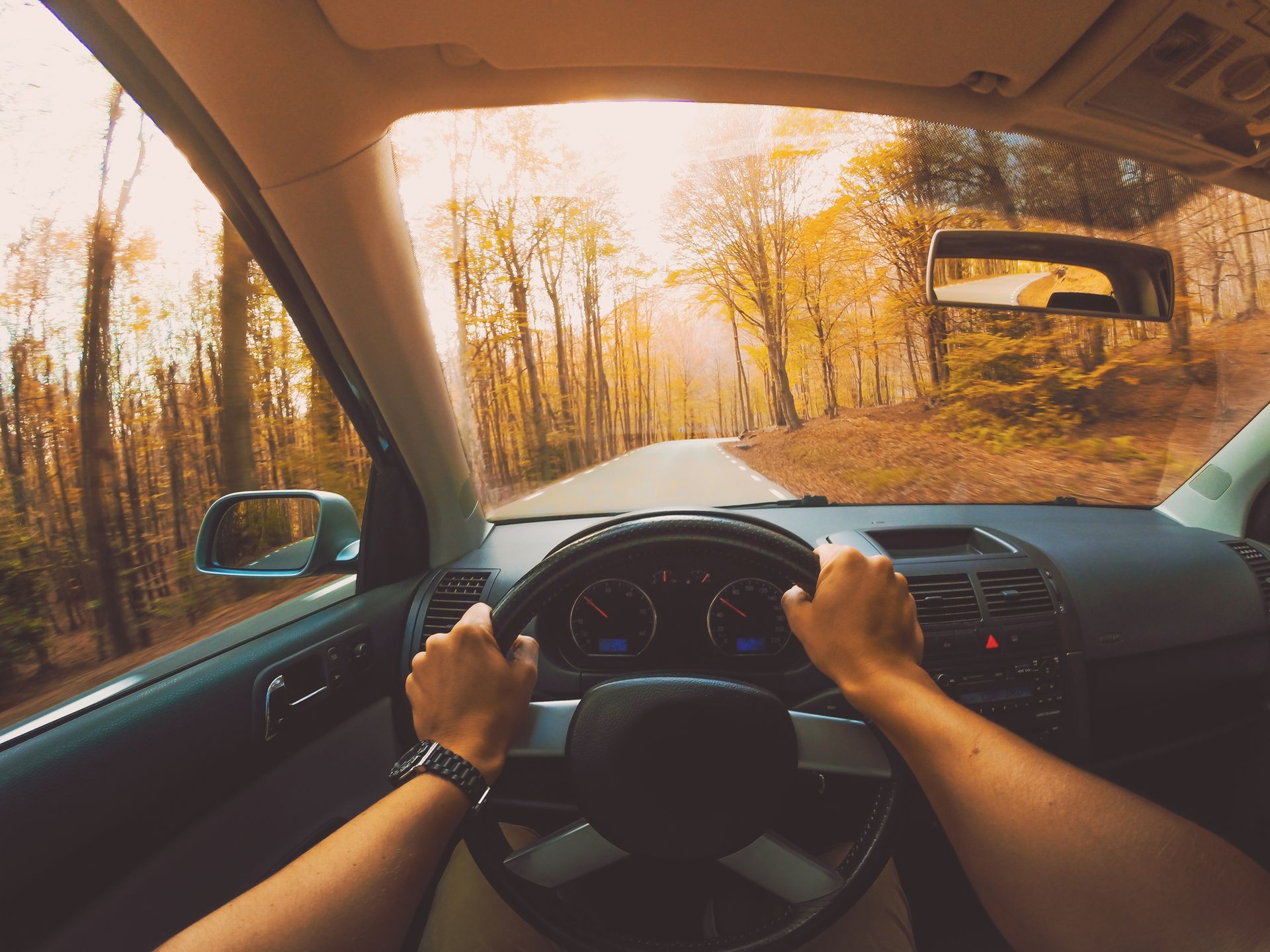 A person is driving a car down a forest road.