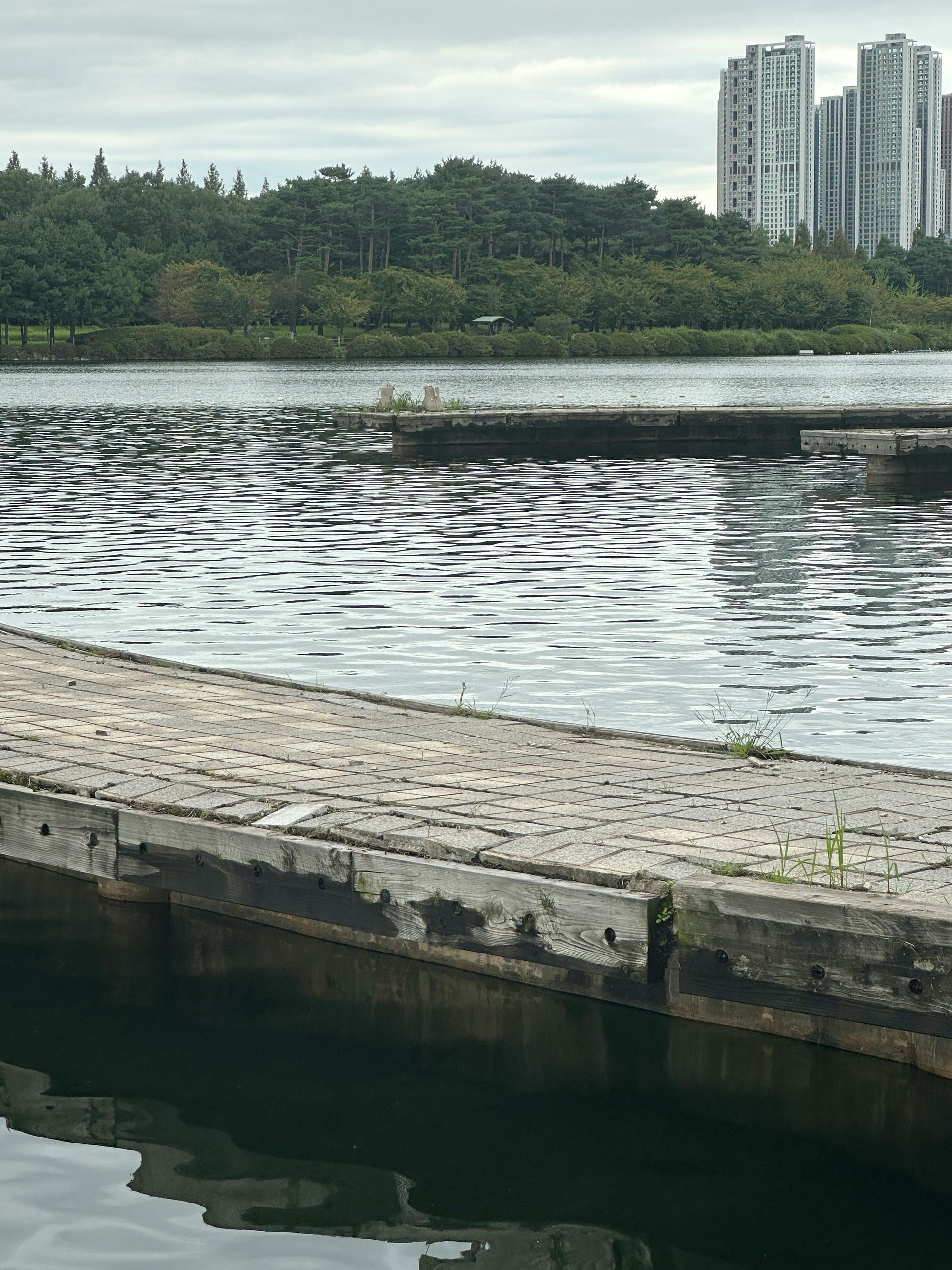 A stone pier extends into a calm lake, with a treeline and tall modern apartment buildings visible in the background.