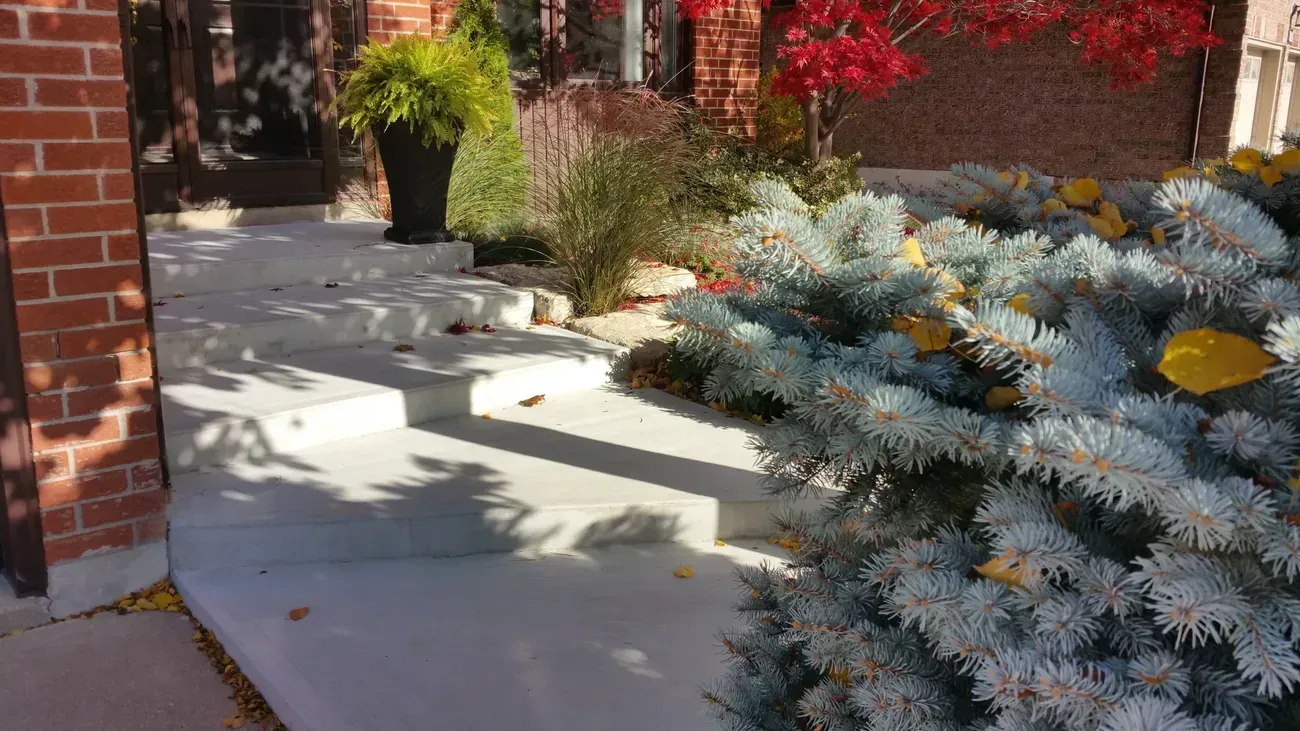 There is a brick building in the background and a tree in the foreground.