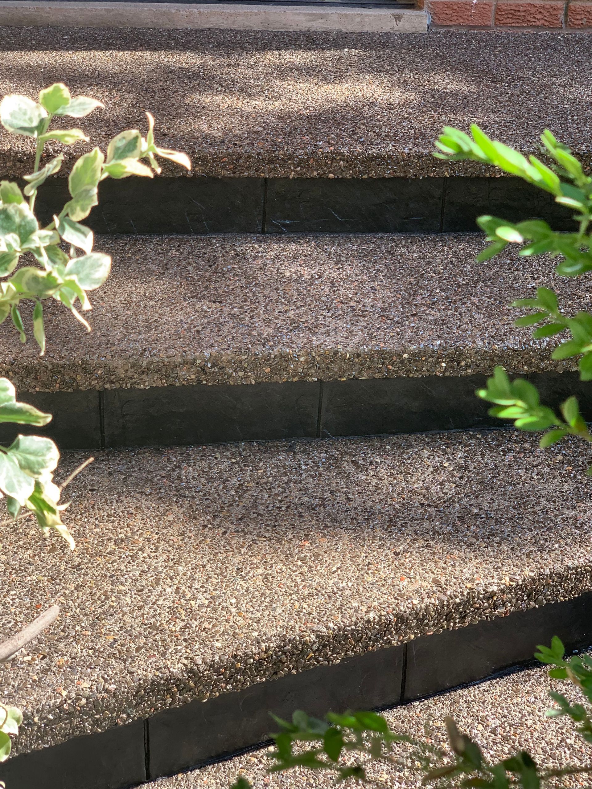 A close up of a set of stairs with a plant in the background
