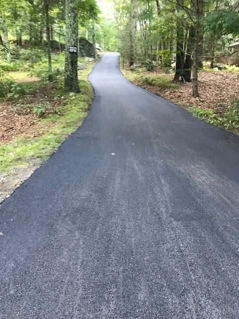 A road going through a forest with trees on both sides.