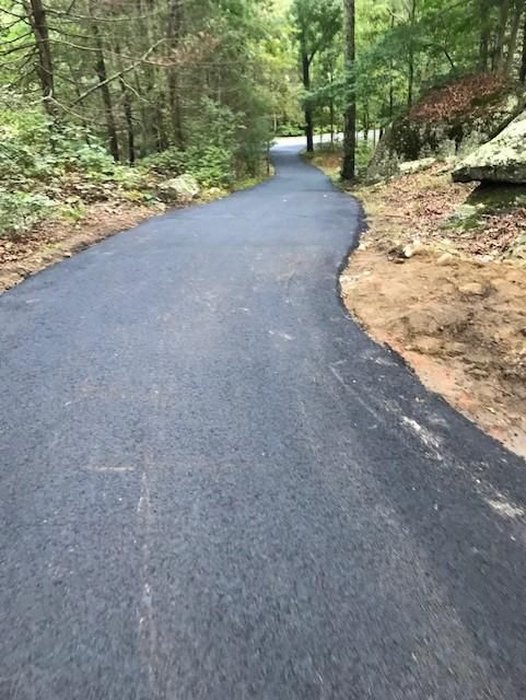 A road going through a forest with trees on both sides