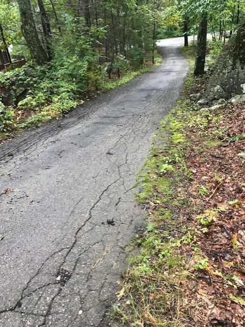 A road going through a forest with trees on both sides.
