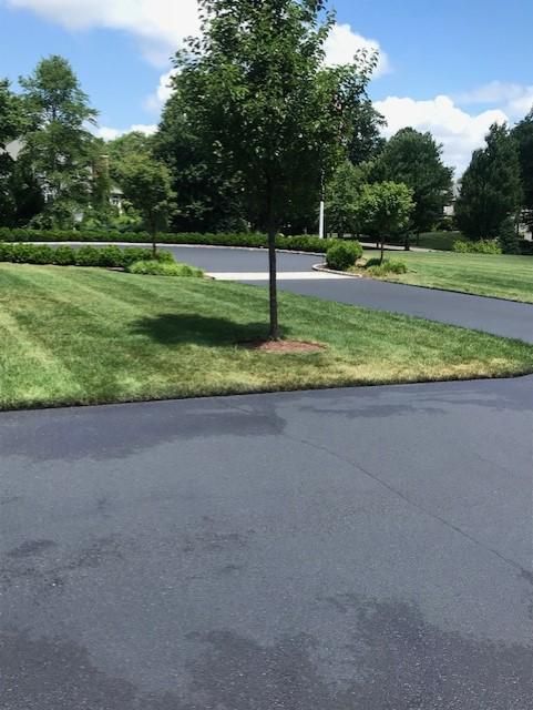A driveway with a tree in the middle of it