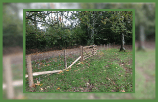 For agricultural fencing in Yelverton call James Hilton Fencing