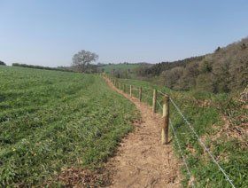 For domestic fencing in Yelverton call James Hilton Fencing