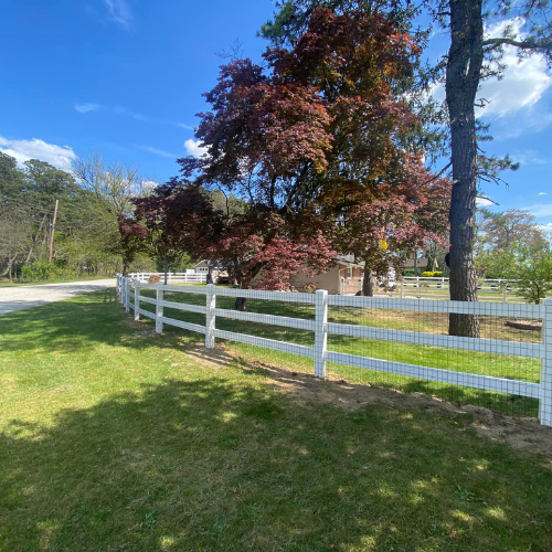 White fence in front of a house with red-leafed tree under a bright blue sky.