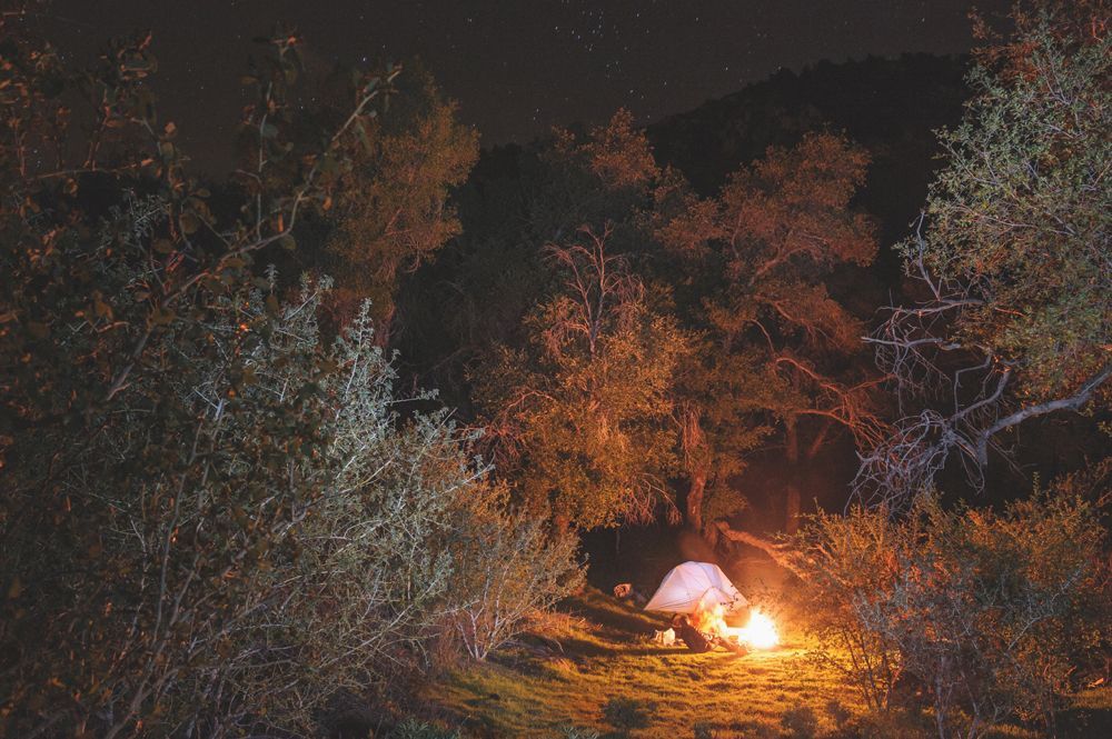 Wedding couple in forest; one embraced, one poses.