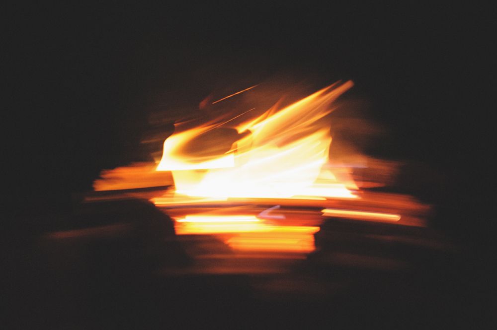 Wedding photos of a couple in a forest setting. The bride holds a sunflower bouquet. The groom kisses the bride.