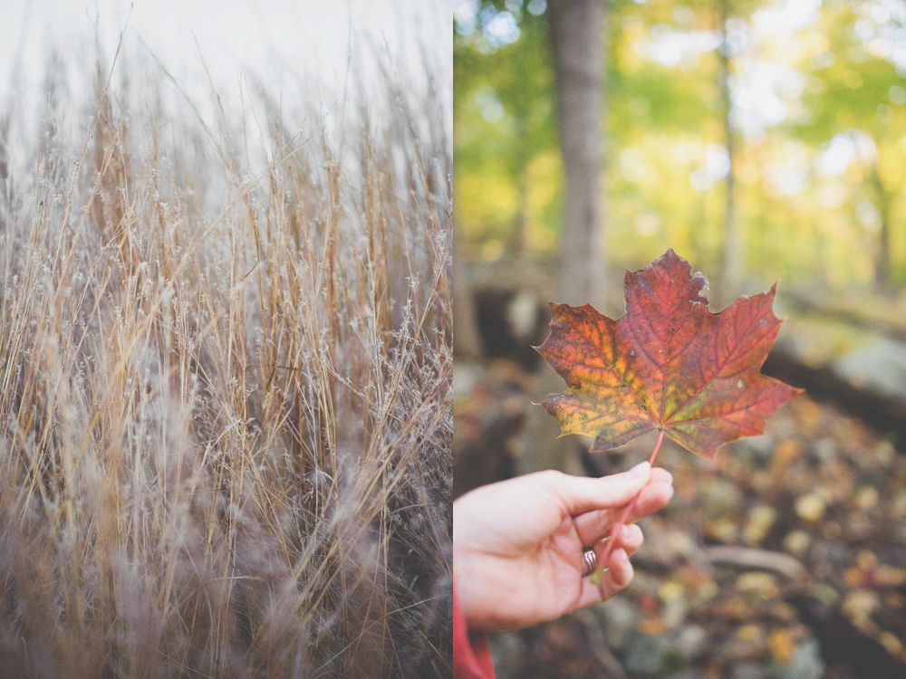 Wedding photos of a couple in a forest setting. The bride holds a sunflower bouquet. The groom kisses the bride.