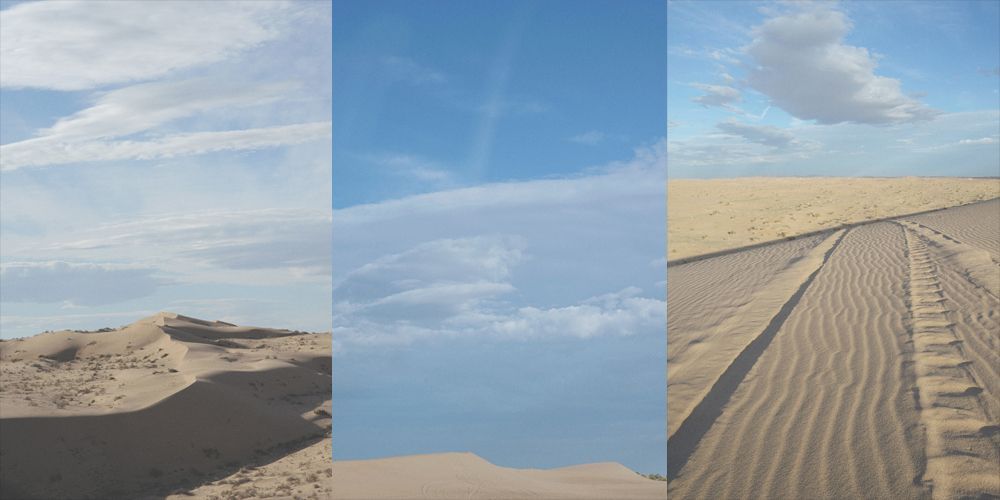 Newlyweds walk down aisle holding hands, sunflowers, gazebo in background.