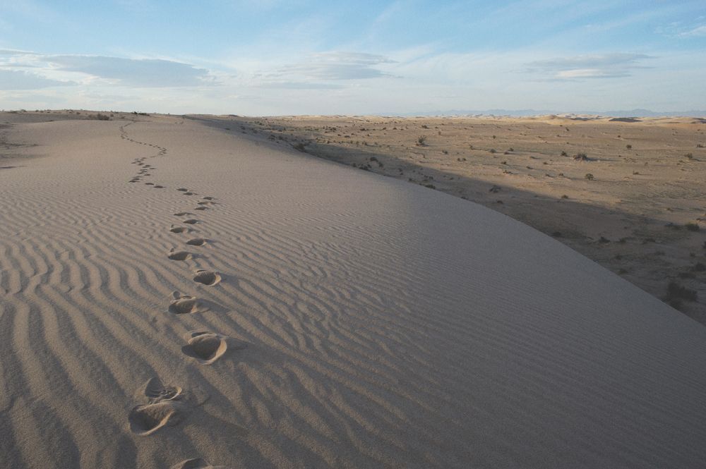 Wedding tables decorated with sunflowers, yellow boxes, and white linens.