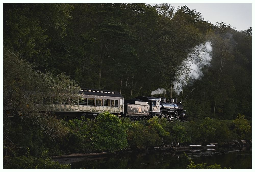 Steam train traveling through a lush, green forest, smoke billowing into the air.