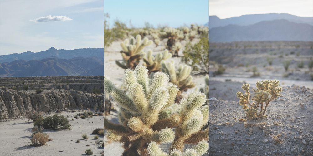 Person taking photo in mirror, indoors; black and white.