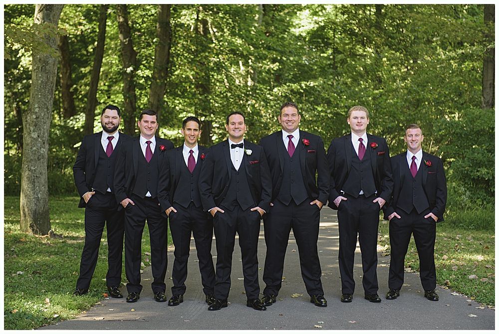 Wedding ceremony: Couple kissing at altar under weeping willow tree; bridal party and guests watching.