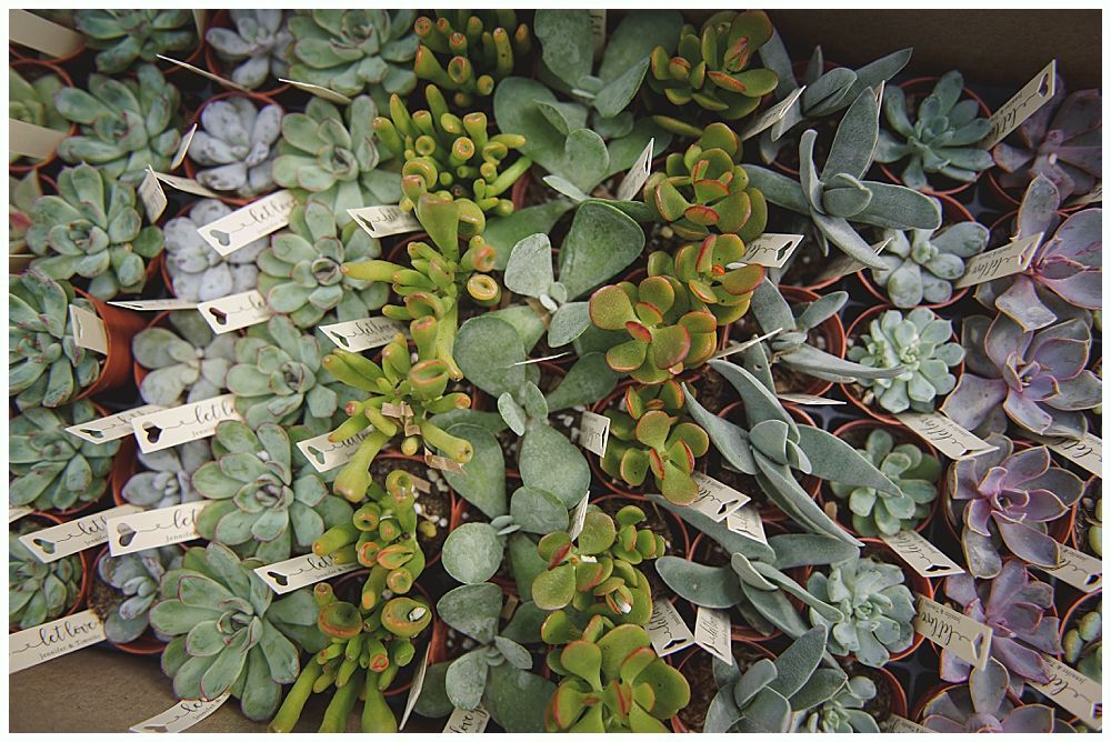 Bride and groom walk hand-in-hand across a grassy hilltop; black and white photograph with a cloudy sky backdrop.