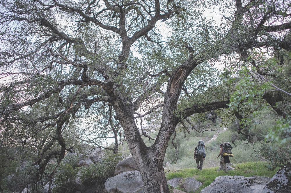 Bride in a white strapless gown adjusts her earring, then smiles holding sunflowers; indoors, window light.
