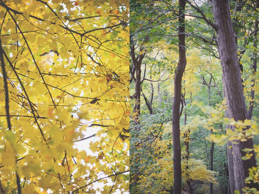 Bride in a white strapless gown adjusts her earring, then smiles holding sunflowers; indoors, window light.
