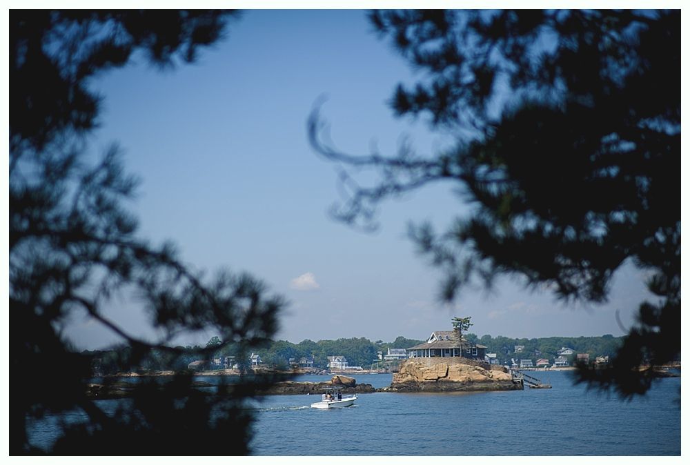 Bride and bridesmaids in navy dresses hold bouquets, posing outdoors.