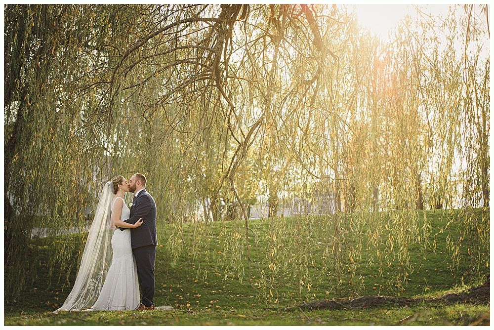 Bride and groom kiss under a weeping willow tree, backlit by sunlight.