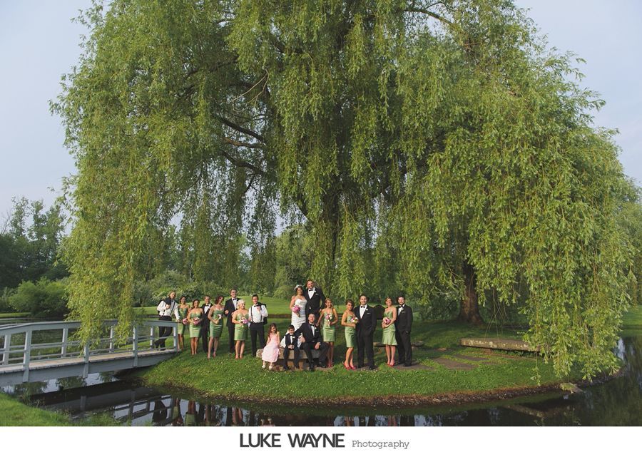 Wedding party posing under large willow tree near a pond. Bridesmaids in green, groomsmen in black.