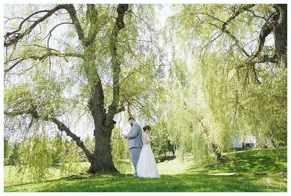 Couple in wedding attire under a weeping willow tree, looking at something held in their hands.